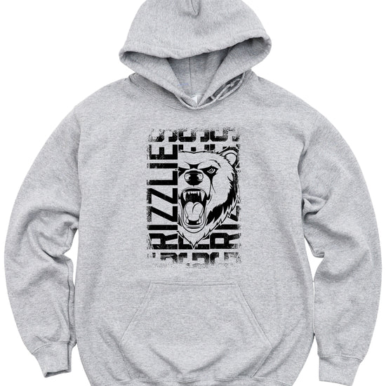Grizzlies School Spirit hoodie in Gray - view 1