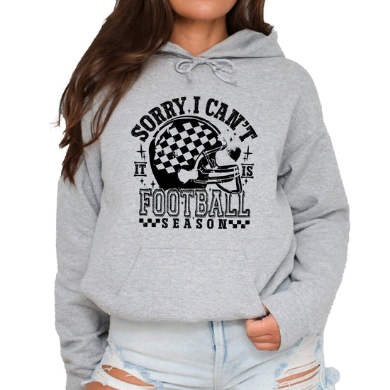 Sorry I Can't It Is Football Season hoodie - Gray Hoodie - G4