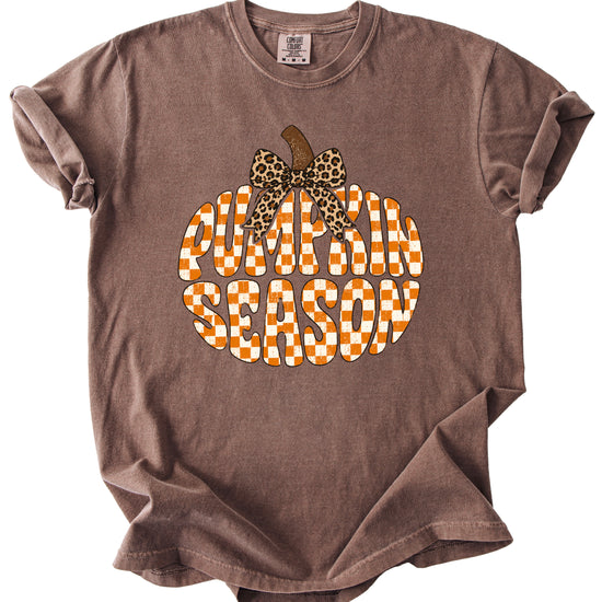 Pumpkin Season checkered pumpkin with leopard bow graphic tee in Espresso, Comfort Colors 1717 womens fall t-shirt, styled view