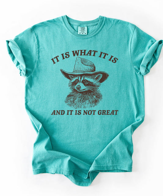 It Is What It Is and It Is Not Great Funny Raccoon Tee