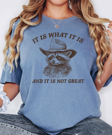 It Is What It Is and It Is Not Great Funny Raccoon Tee