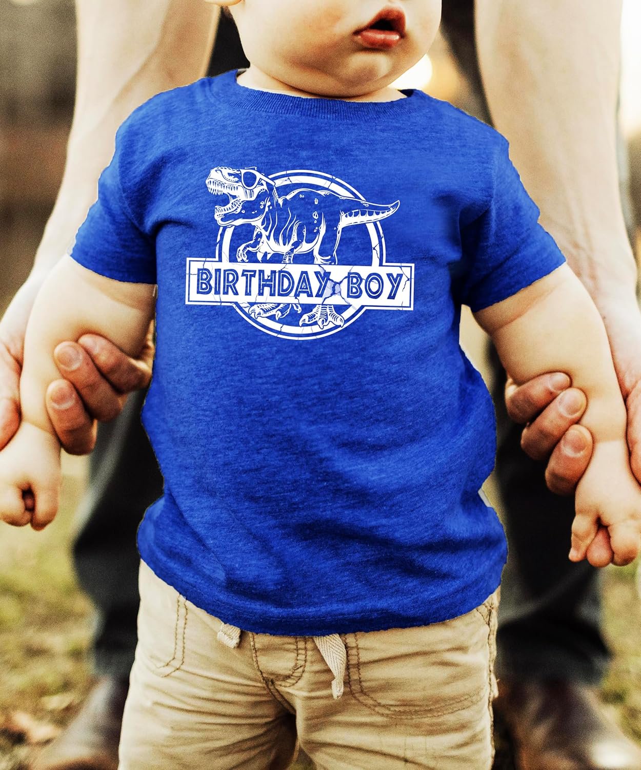 Birthday Boy dinosaur shirt product details showing fabric quality and print closeup