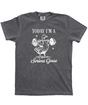 Today I'm a Serious Goose Funny Weightlifting Unisex T-Shirt