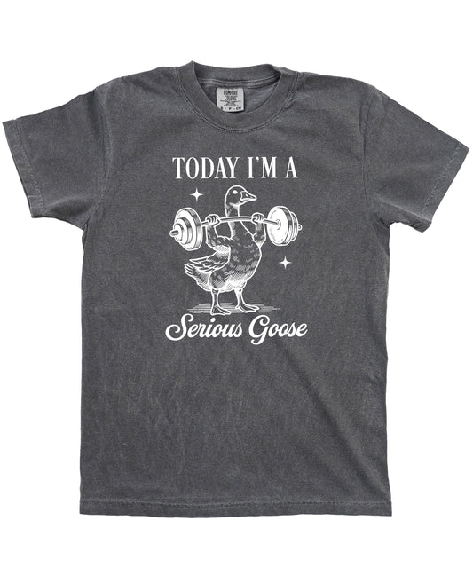 Today I'm a Serious Goose Funny Weightlifting Unisex T-Shirt
