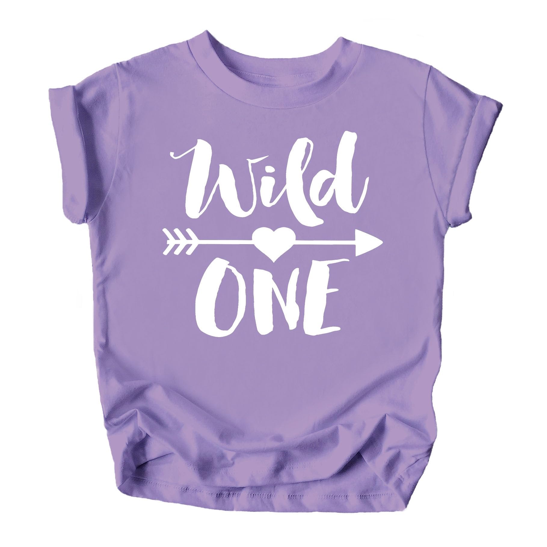 Wild One baby birthday outfit styled with accessories and props