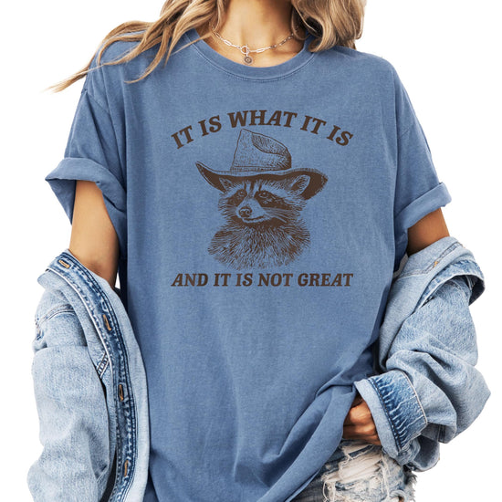 Ivory women's graphic tee with a cowboy raccoon and the phrase It Is What It Is and It Is Not Great printed on the front