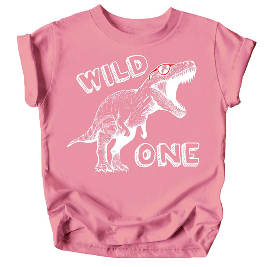 Baby wearing Wild One Dinosaur first birthday shirt styled for party celebration