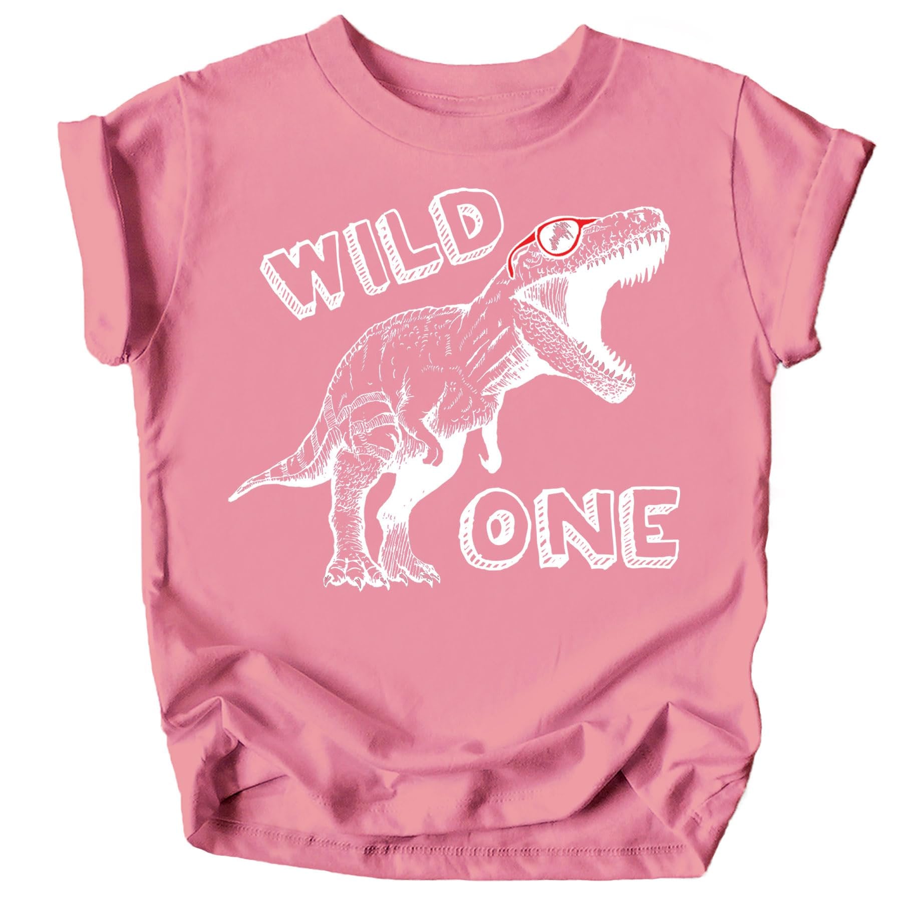 Baby wearing Wild One Dinosaur first birthday shirt styled for party celebration