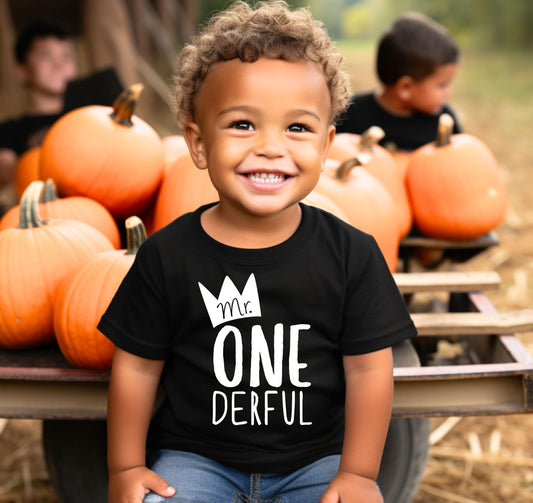 Mr. One-Derful Boys 1st Birthday Shirt | Cake Smash Outfit