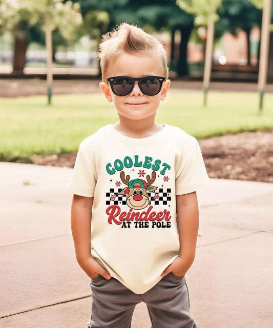 Close-up of red-nosed reindeer in hat graphic print on boys natural Christmas tee