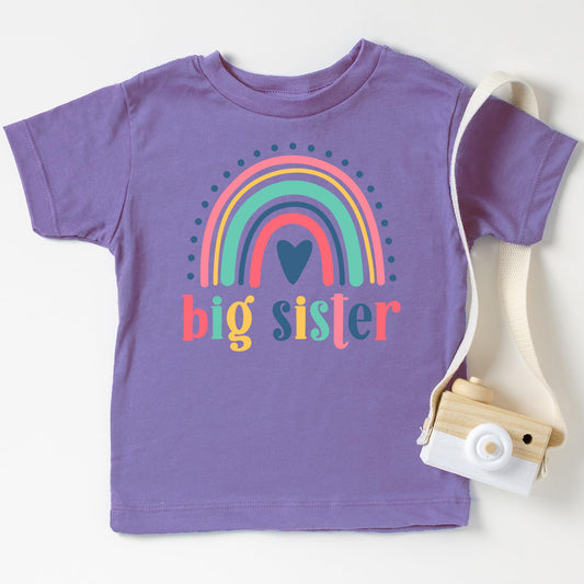 Big Sister Heart Rainbow Shirt for New Baby Pregnancy Reveal Outfit for Baby and Toddler Youth Girls