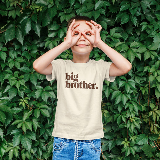 Bold Promoted to Big Brother Sibling Reveal Shirt for Boys Sibling Outfit