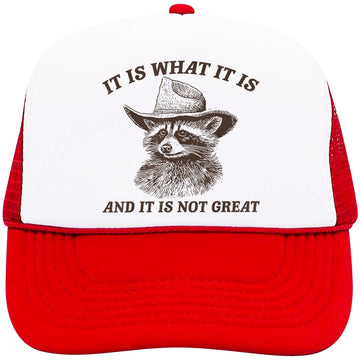 It Is What It Is Trucker Hat Raccoon Graphic Adult Foam Front Classic 5 Panel Mesh Snapback