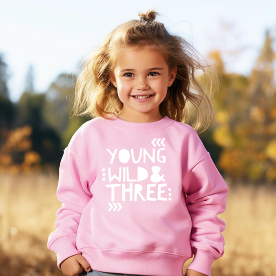 Pink 3rd birthday sweatshirt with wild and three graphic design