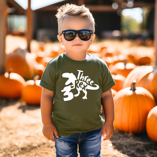 Third Birthday T-Rex Shirt for Boys and Girls Three Rex Dinosaur Outfit for 3rd Bday