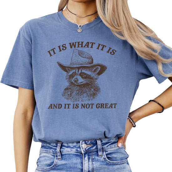 Side view of the It Is What It Is raccoon graphic tee showing relaxed fit and soft fabric