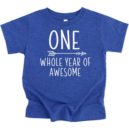 Boys 1st birthday shirt reading 'One Whole Year of Awesome' in granite heather short sleeve tee
