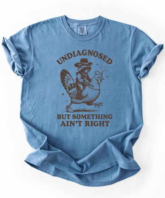 Undiagnosed But Something Ain't Right Funny Raccoon T-Shirt
