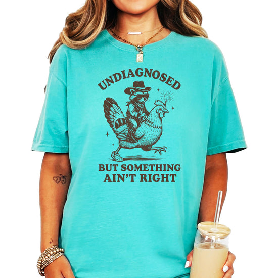 Close-up view of raccoon design with humorous text on blue jean colored shirt