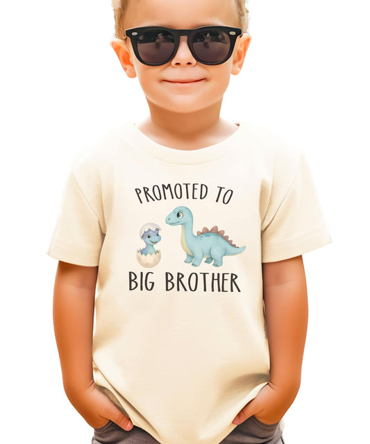 Dinosaur Big Bro Shirt for Boys New Big Brother Dino Sibling T-Shirt