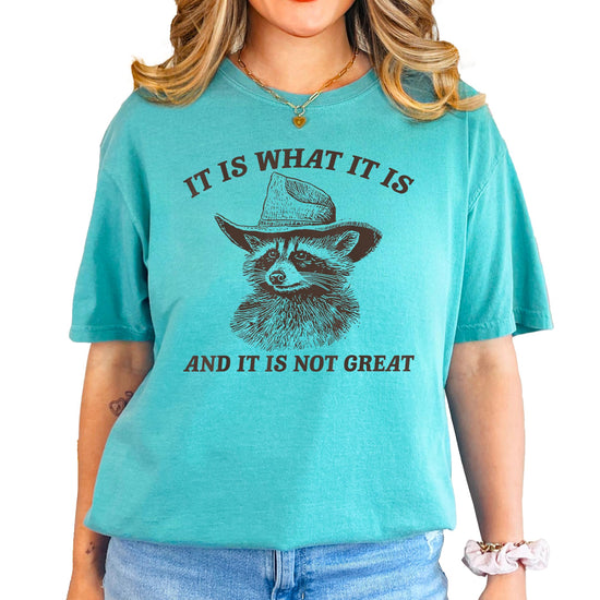 Front view of the It Is What It Is funny raccoon tee in ivory on a female model
