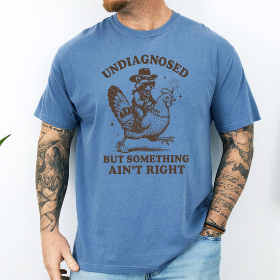 Full front view of undiagnosed raccoon graphic tee in blue jean wash color