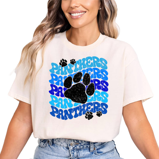 Panthers School Spirit Shirt for Game Day Apparel for Adults and Kids