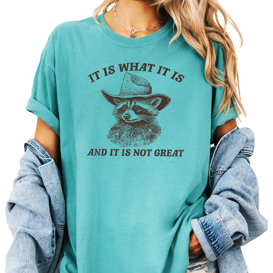 Flat lay of the ivory funny raccoon slogan tee for women and teens