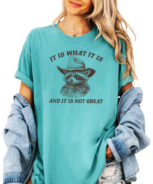 Flat lay of the ivory funny raccoon slogan tee for women and teens