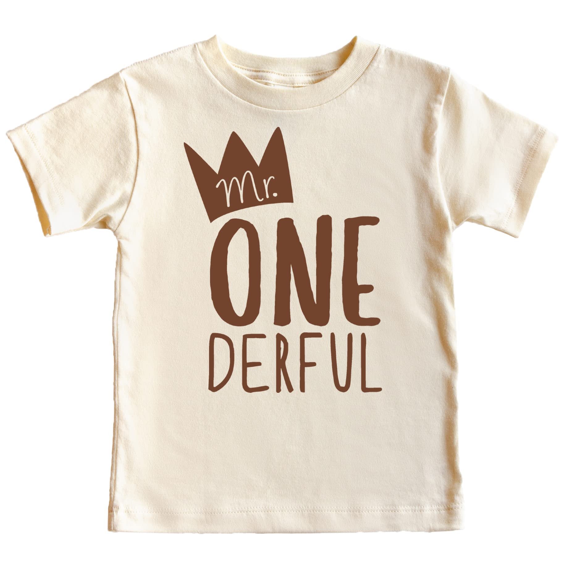 Close-up of Mr. One-Derful cake smash birthday shirt print detail on toddler tee