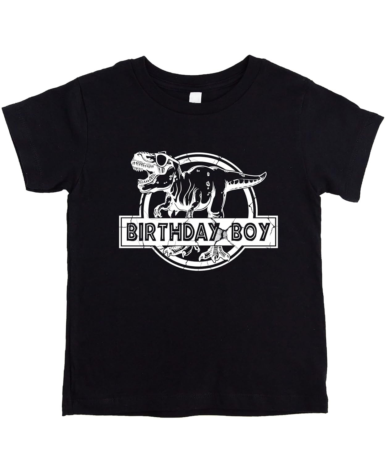 Black Birthday Boy dinosaur t-shirt with white T-Rex graphic and nameplate design for kids