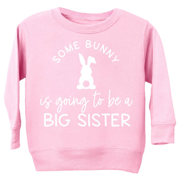Olive Loves Apple Big Sister Easter Sweatshirt Some Bunny is Promoting me to Big Sister Sweater for Girls